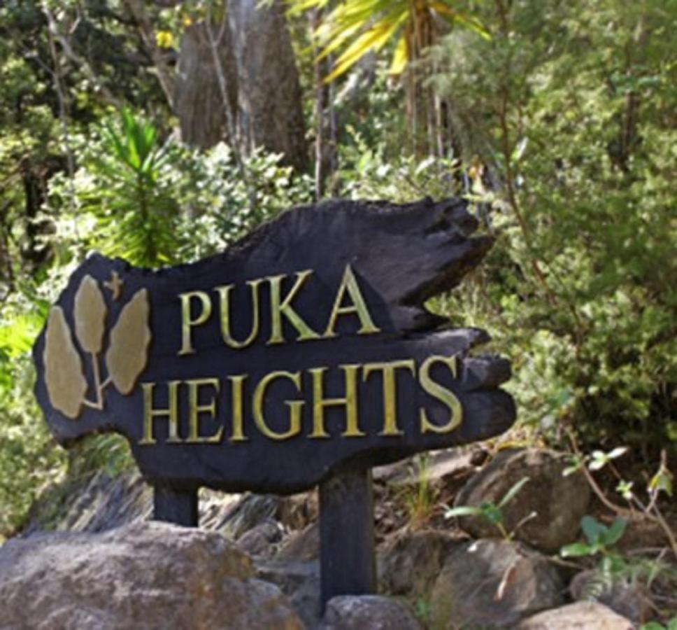Puka Heights Bed and Breakfast Pauanui Eksteriør billede